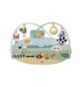 Palestrina tiny love Dynamic Gymini Farmers